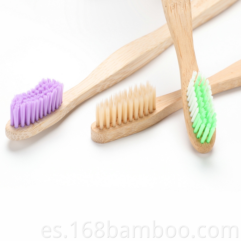 Colorful bamboo toothbrush